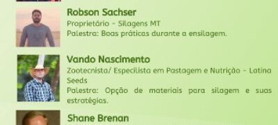 A silagem em nível de excelência