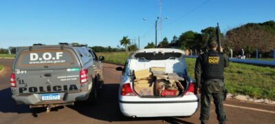 DOF apreende mais de 200 quilos de drogas em caixas de cigarros
