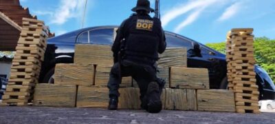 DOF apreende 420 quilos de maconha e prende homem com mandado de prisão em aberto