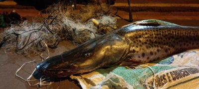 PMA de Batayporã prende em flagrante e autua em R$ 1,9 mil dois pescadores por pescar durante a piracema