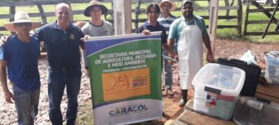 Prefeitura de Caracol realizou a 1° rodada do Programa Municipal de Inseminação via protocolo de IATF
