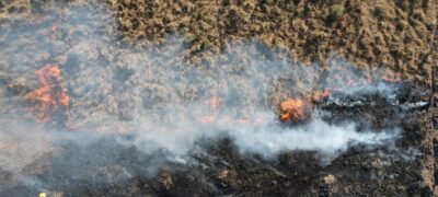 Curso online sobre monitoramento de fogo no Pantanal está com inscrições abertas 