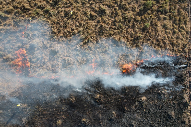 Curso online sobre monitoramento de fogo no Pantanal está com inscrições abertas 