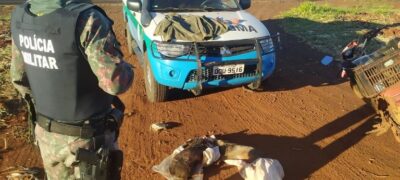 Polícia Militar Ambiental autua 29 caçadores em R$ 49,5 mil em 2022, apreende 16 armas de caça e prende nove infratores