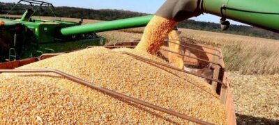 MS pode registrar novo recorde de área plantada e produtividade da soja safra 2022/2023