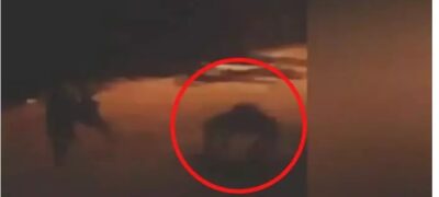 Moradores afirmam ter visto lobisomem durante ‘Sexta-Feira 13’ em Bonito