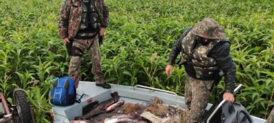Polícia Militar Ambiental autuou 1.038 infratores e aplicou R$ R$ 23,6 milhões em multas por infrações ambientais em 2022