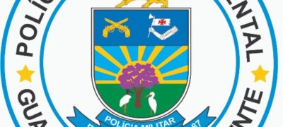 Polícia Militar Ambiental de Porto Murtinho autua jovem de 19 anos por maus-tratos por deixar dois cães morrerem por desnutrição