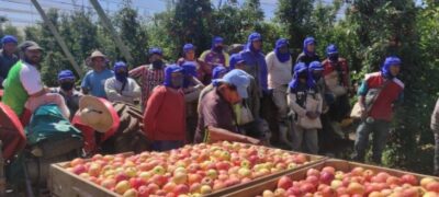 Semana começa com 4 mil vagas de trabalho em Mato Grosso do Sul