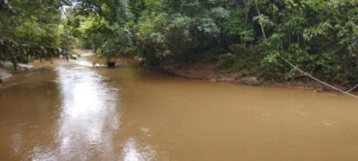 Funcionário de fazenda sai para tratar de gado e é encontrado morto em córrego