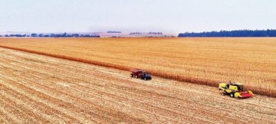 Mato Grosso do Sul foi o terceiro estado do Brasil que mais gerou vagas no agronegócio