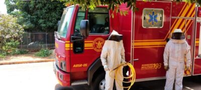Ataques de abelhas podem ser evitados com alguns cuidados, alerta Corpo de Bombeiros