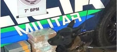 Canil do 7º BPM, em apoio ao Carnaval de Corumbá, prende autores de tráfico de drogas