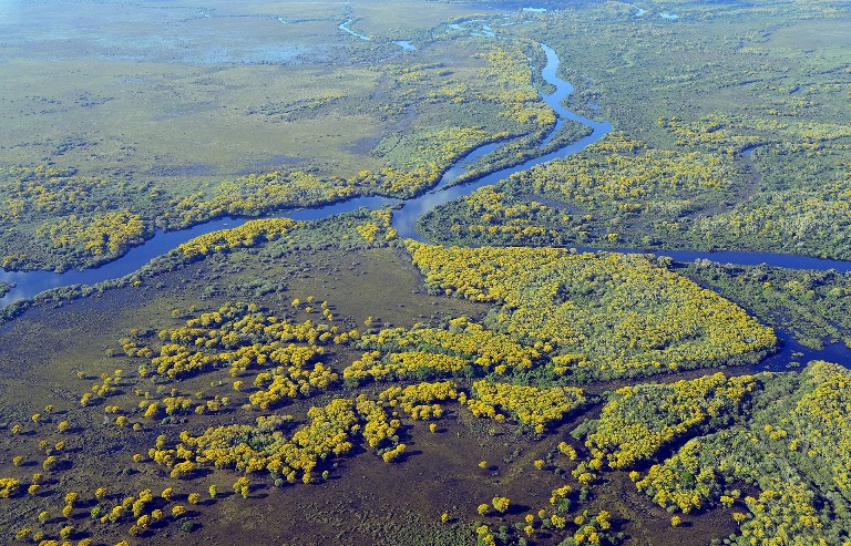 Programa de aceleração vai selecionar empreendimentos de preservação do Pantanal