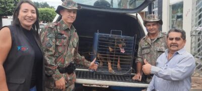PMA e Vigilância Sanitária de Cassilândia resgatam Rottweiler abandonado por família que foi embora da cidade para outro estado