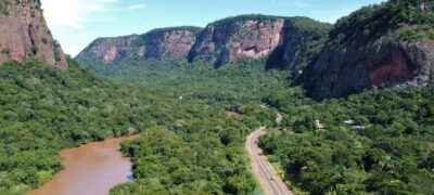 Programa Estrada Viva monitora rodovias estaduais e propõe adaptações para segurança da fauna