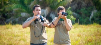 Voando alto: Observação de aves impulsiona turismo sustentável em Corumbá e região