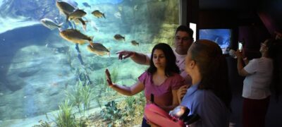 Bioparque garante inclusão de pessoas cegas com visitas guiadas e uso de tecnologia