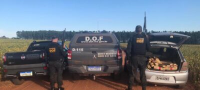 Veículo com quase 300 quilos de drogas foi apreendido pelo DOF