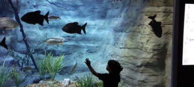 No Dia Mundial de Conscientização do Autismo, Bioparque realiza visitação inclusiva