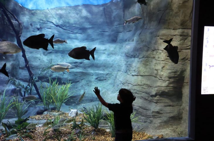 No Dia Mundial de Conscientização do Autismo, Bioparque realiza visitação inclusiva