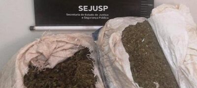 Durante feriado de Páscoa DOF prende 320 quilos de maconha em Bela Vista