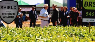Com tecnologia e oportunidades de negócios, Governo de MS apoia 26º Showtec