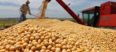 Valor da produção agrícola do MS será recorde em 2023: R$ 55,78 bilhões