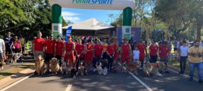 1ª Cãominhada movimentou Parque do Poderes neste domingo