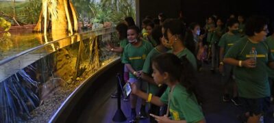 No Dia Mundial do Meio Ambiente, Bioparque destaca ações de educação ambiental e conservação de espécies