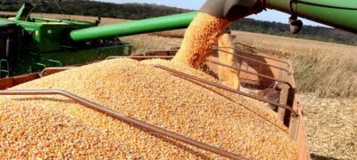 Produção agrícola do Estado deve superar 72 milhões de toneladas com renda acima dos R$ 52 bilhões