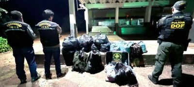 DOF e Sefaz apreendem mais de 400 quilos de cabelo humano avaliados em um milhão de reais