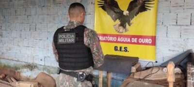 PMA de Campo Grande prende e autua dois homens por maus-tratos a animais (rinha de galo)