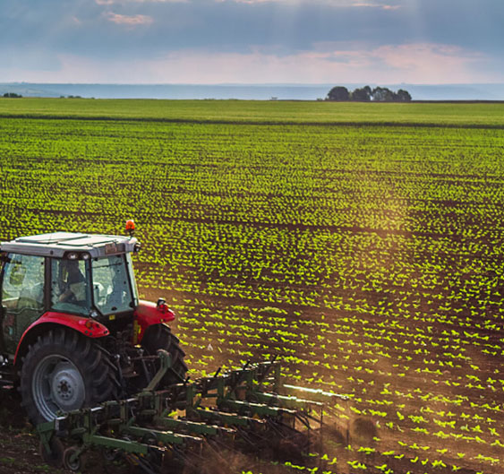 Experiência bem sucedida garante expositores na Ponta Agrotec 2023