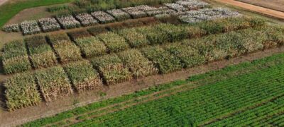 Latina Seeds aposta no Nordeste e abre seu CPD para convidados