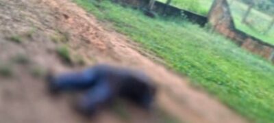 Homem mata amigo a facadas durante bebedeira em Itaquiraí