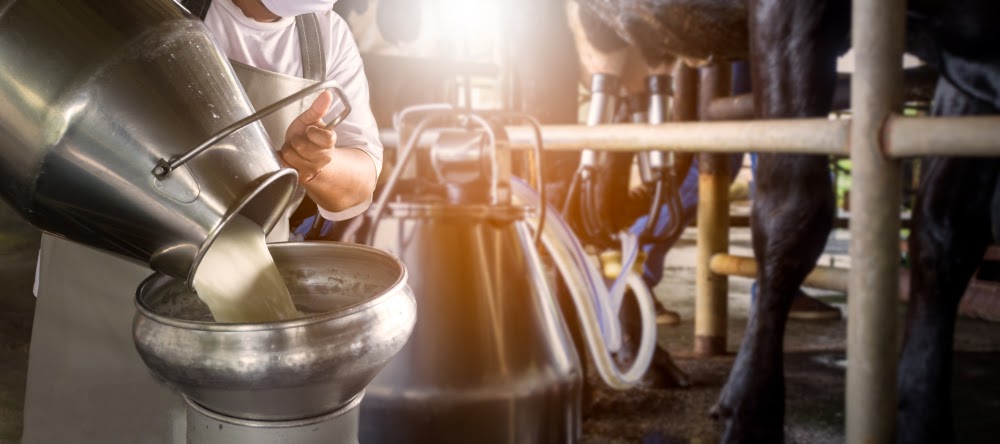 Ponta Agrotec 2023 terá Encontro de Produtores de Leite para debater a futuro da produção em MS