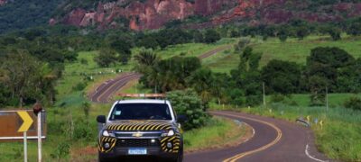 “Estrada Viva” amplia ações em rodovias para reduzir acidentes com animais silvestres