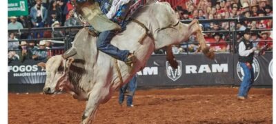 Quem é Warley Oliveira, campeão do Rodeio Internacional em Barretos que desbancou favoritos
