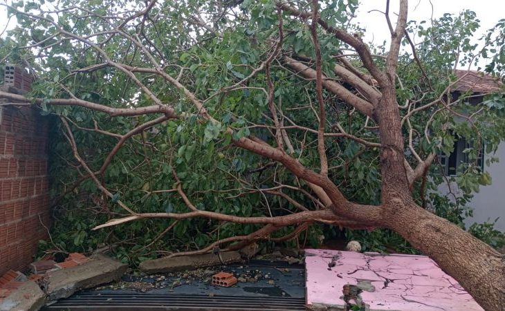 Defesa Civil envia equipe a Dourados para avaliar danos causados pela chuva