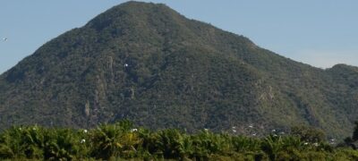 Startup acopla inteligência de dados para monitorar créditos de carbono em projeto no Pantanal