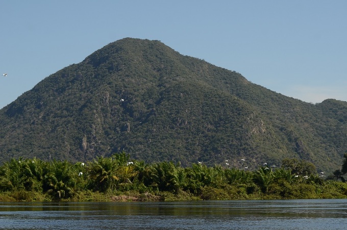 Startup acopla inteligência de dados para monitorar créditos de carbono em projeto no Pantanal