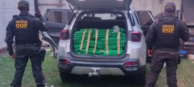 Quase meia tonelada de maconha é apreendida pelo DOF em Ponta Porã