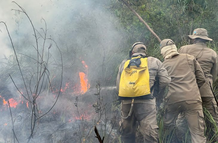 Por terra, água e ar: bombeiros iniciam combate aéreo a focos de incêndio em Bonito