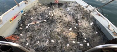 PMA de Aparecida do Taboado apreende rede de pesca e 60 kg de peixe