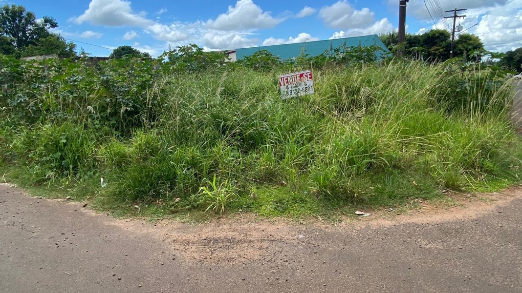 Prefeitura segue realizando limpeza de terrenos em Ponta Porã