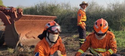 Com atuação no combate a incêndios florestais, Bombeiros também buscam por animais silvestres