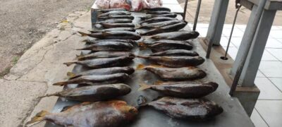 PMA de Porto Murtinho autua homem por pesca ilegal
