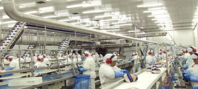 Após ação para controlar gripe aviária, Japão anuncia fim do embargo às exportações de frango de MS