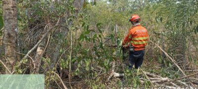 Com atuação permanente, Bombeiros de MS fazem força-tarefa para controlar incêndios no Pantanal